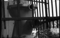 4D_088